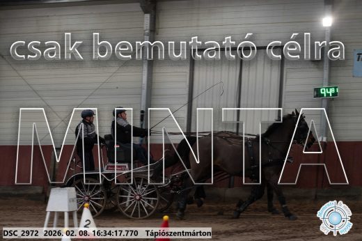 Mintakép 20260208-1172