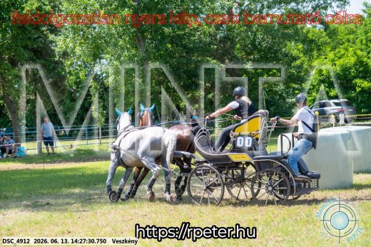 Mintakép 20260613-603