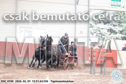 Mintakép 20260207-707