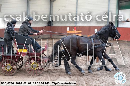 Mintakép 20260207-722