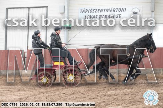 Mintakép 20260207-729
