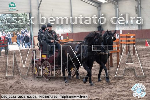 Mintakép 20260208-1174
