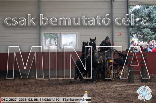 Mintakép 20260208-1177