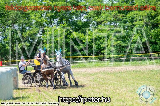 Mintakép 20260613-606