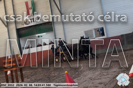 Mintakép 20260208-1182