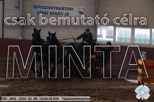 Mintakép 20260208-1193