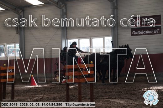 Mintakép 20260208-1199