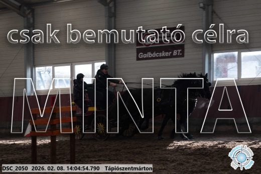Mintakép 20260208-1200