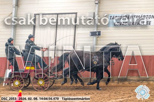 Mintakép 20260208-1203