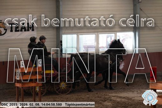 Mintakép 20260208-1204