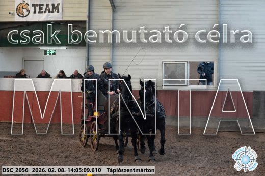Mintakép 20260208-1205