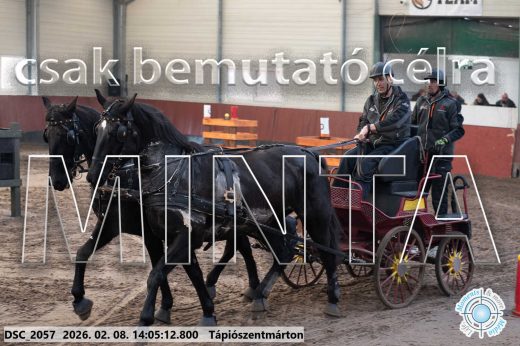 Mintakép 20260208-1206