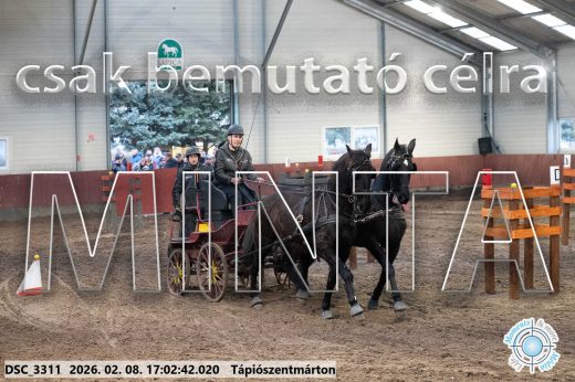 Mintakép 20260208-1207