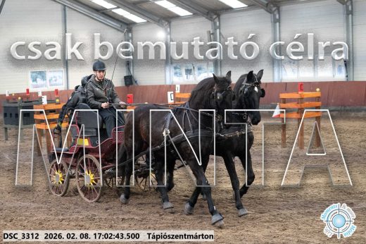 Mintakép 20260208-1208