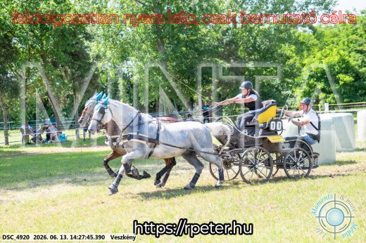Mintakép 20260613-609