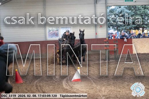 Mintakép 20260208-1215