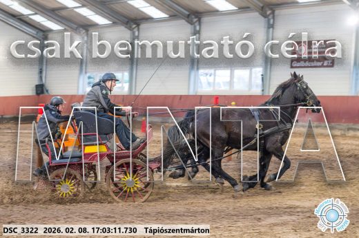 Mintakép 20260208-1218