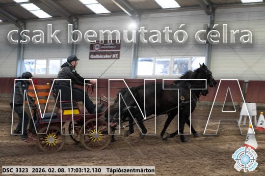 Mintakép 20260208-1219