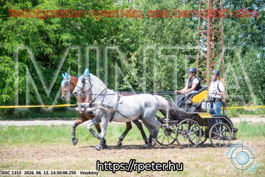 Mintakép 20260613-611