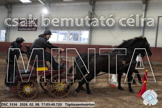 Mintakép 20260208-1232