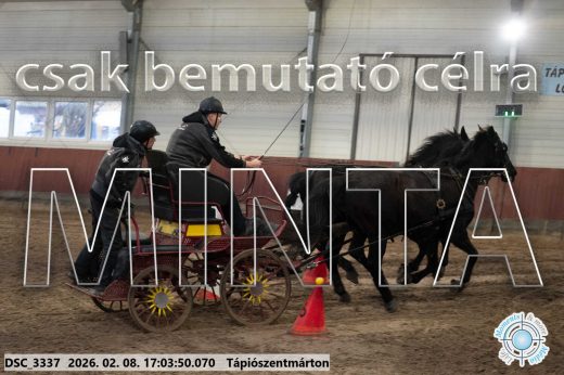 Mintakép 20260208-1233