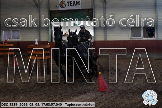 Mintakép 20260208-1235