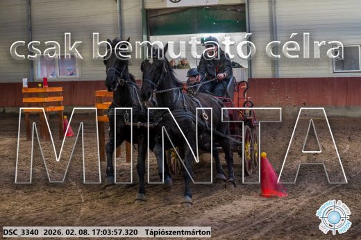 Mintakép 20260208-1236