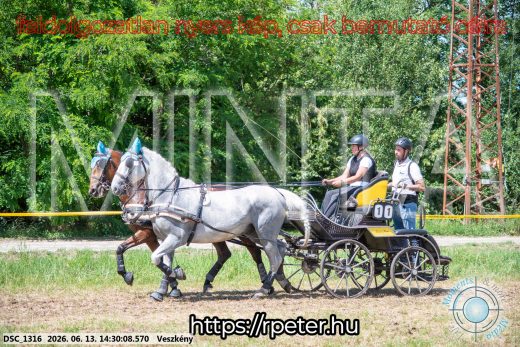 Mintakép 20260613-612