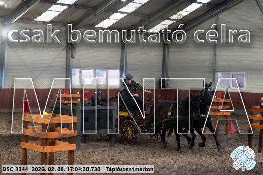 Mintakép 20260208-1240
