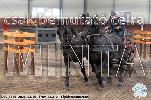 Mintakép 20260208-1242