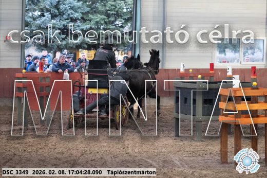 Mintakép 20260208-1245