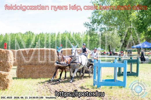 Mintakép 20260613-613
