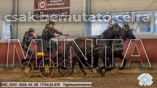 Mintakép 20260208-1249