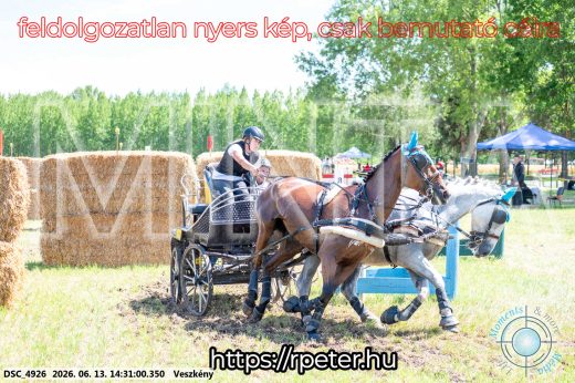 Mintakép 20260613-614
