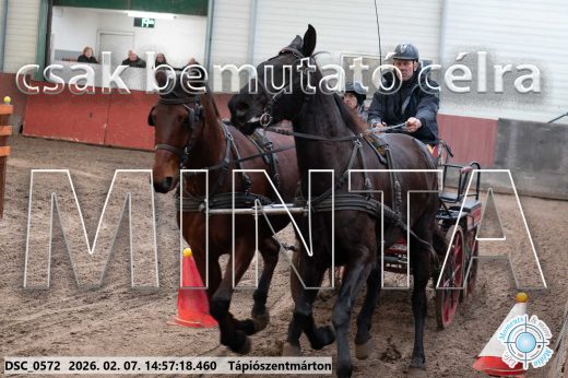 Mintakép 20260207-741