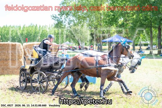 Mintakép 20260613-615