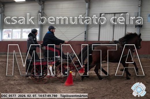 Mintakép 20260207-745