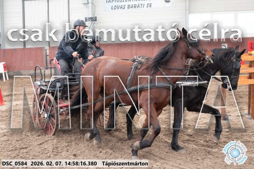Mintakép 20260207-751