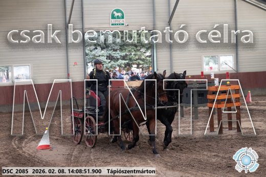 Mintakép 20260208-1257