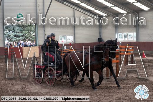 Mintakép 20260208-1258