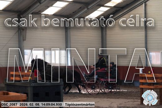 Mintakép 20260208-1259