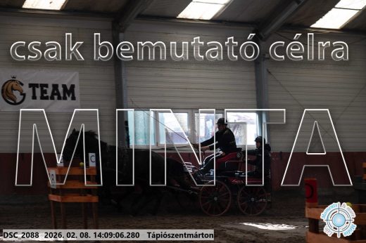 Mintakép 20260208-1260