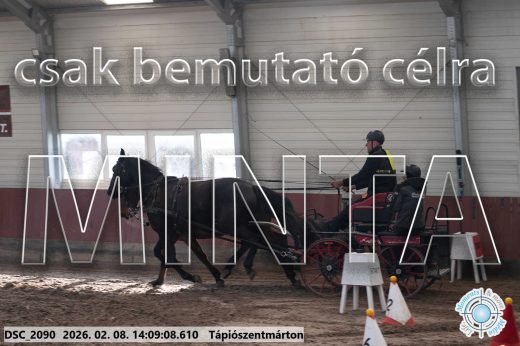 Mintakép 20260208-1262
