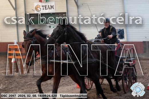 Mintakép 20260208-1269