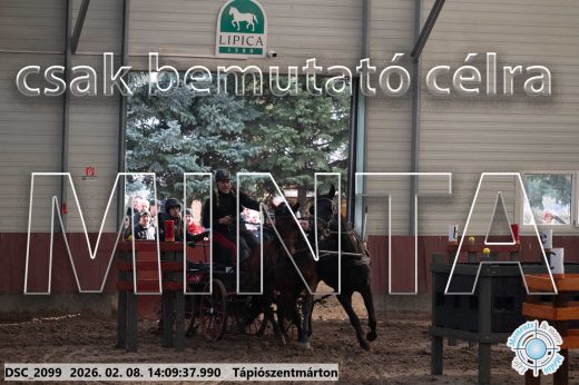 Mintakép 20260208-1271