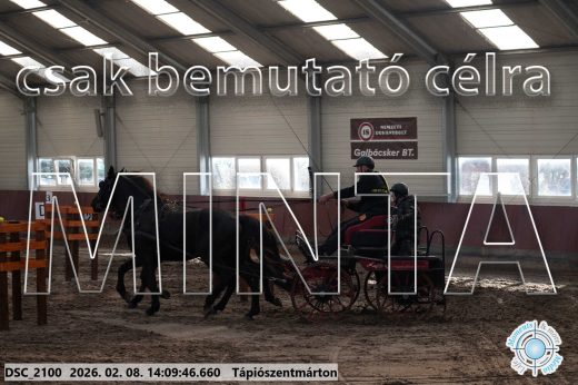 Mintakép 20260208-1272
