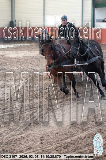Mintakép 20260208-1279