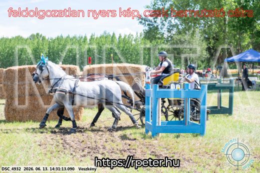 Mintakép 20260613-620
