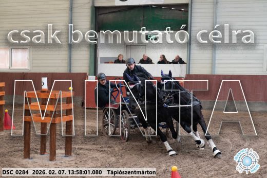 Mintakép 20260207-764