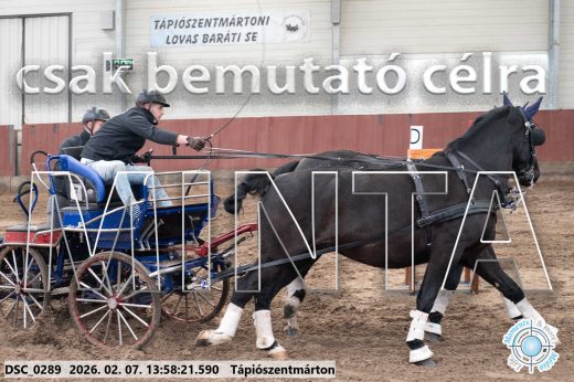 Mintakép 20260207-768